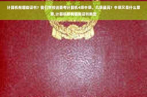 计算机有哪些证书?我们学校说要考计算机4级中级。几级最高?中级又是什么意思,计算机都有哪类证书类型 计算机有哪些证书?我们学校说要考计算机4级中级。几级最高?中级又是什么意思,计算机都有哪类证书类型