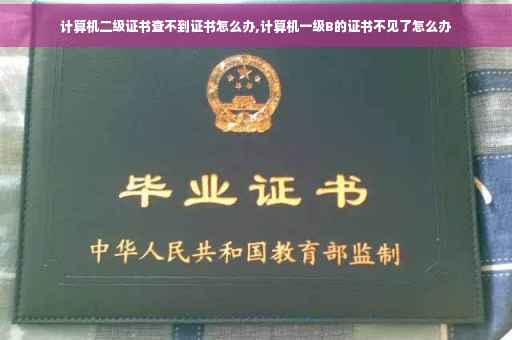 计算机二级证书查不到证书怎么办,计算机一级B的证书不见了怎么办