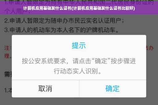计算机应用基础发什么证书(计算机应用基础发什么证书比较好)