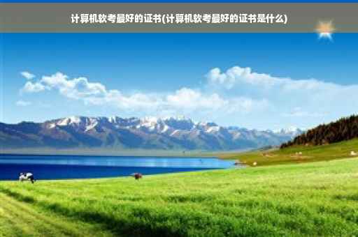 计算机软考最好的证书(计算机软考最好的证书是什么) 计算机软考最好的证书(计算机软考最好的证书是什么)