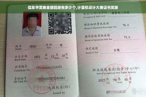 信息学奥赛金银铜牌有多少个,计算机设计大赛证书奖牌