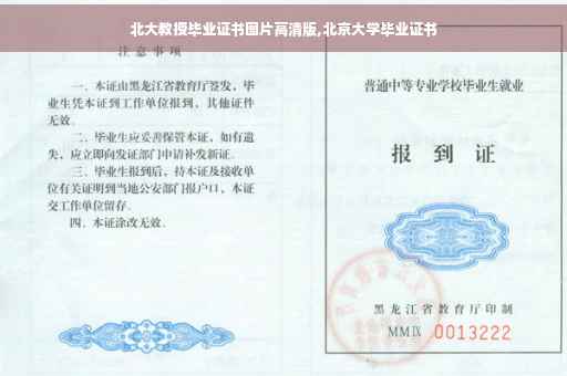 北大教授毕业证书图片高清版,北京大学毕业证书