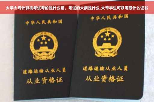 大学大专计算机考试考的是什么证，考试的大纲是什么,大专学生可以考取什么证书