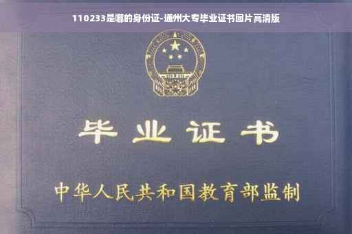 110233是哪的身份证-通州大专毕业证书图片高清版