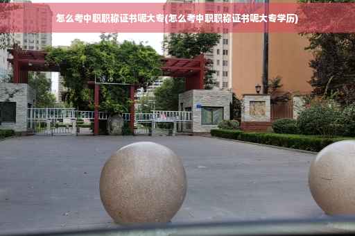 怎么考中职职称证书呢大专(怎么考中职职称证书呢大专学历)