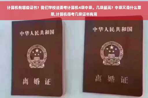 计算机有哪些证书？我们学校说要考计算机4级中级。几级最高？中级又是什么意思,计算机得考几级证书有用