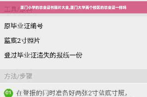 厦门小学的毕业证书图片大全,厦门大学两个校区的毕业证一样吗 厦门小学的毕业证书图片大全,厦门大学两个校区的毕业证一样吗