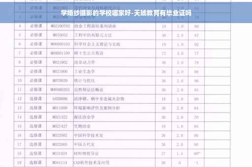 学婚纱摄影的学校哪家好-天琥教育有毕业证吗