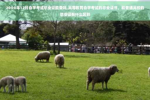 2000年12月自学考试毕业证能查吗,高等教育自学考试的毕业证书，和普通高校的毕业证有什么区别
