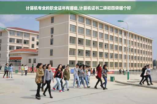 计算机专业的职业证书有哪些,计算机证书二级和四级哪个好