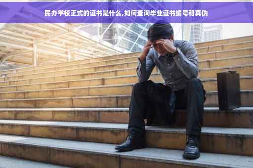 民办学校正式的证书是什么,如何查询毕业证书编号和真伪