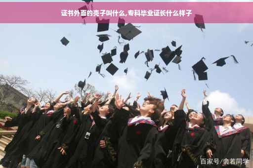 证书外面的壳子叫什么,专科毕业证长什么样子