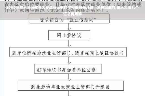 2000年成人高等教育大专毕业证书的学校编码是几位，怎样组成的,成人大专几个证书有用嘛