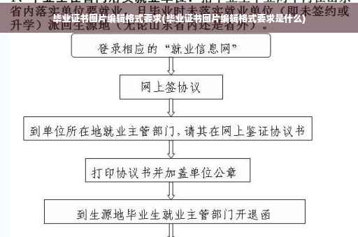 毕业证书图片编辑格式要求(毕业证书图片编辑格式要求是什么)