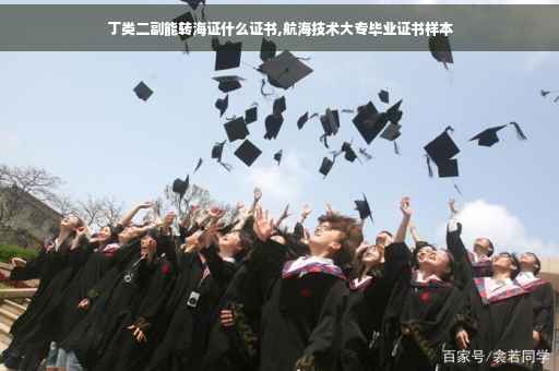 丁类二副能转海证什么证书,航海技术大专毕业证书样本