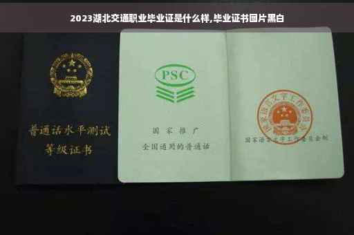 2023湖北交通职业毕业证是什么样,毕业证书图片黑白