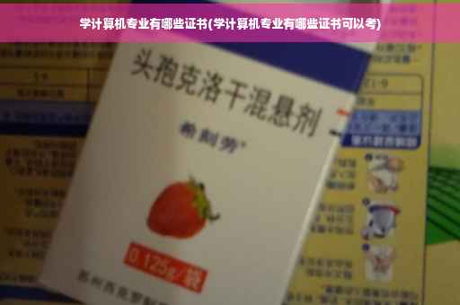 学计算机专业有哪些证书(学计算机专业有哪些证书可以考)