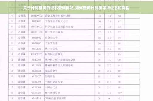 关于计算机类的证书查询网站,如何查询计算机等级证书的真伪