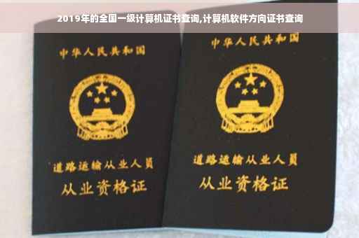 2019年的全国一级计算机证书查询,计算机软件方向证书查询