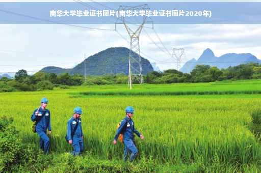 南华大学毕业证书图片(南华大学毕业证书图片2020年)