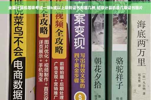 全国计算机等级考试一级b或以上级别证书有哪几种,初级计算机是几级证书图片 全国计算机等级考试一级b或以上级别证书有哪几种,初级计算机是几级证书图片