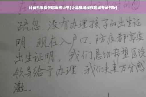 计算机编程在哪里考证书(计算机编程在哪里考证书好)