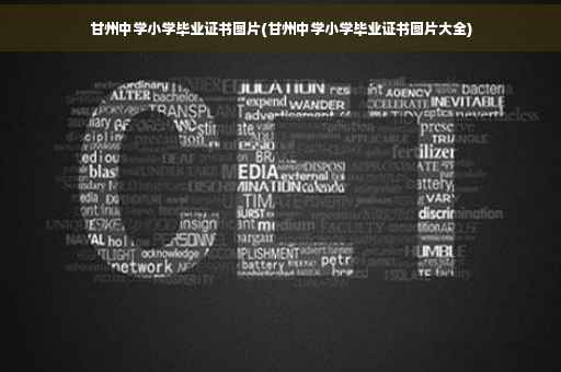 甘州中学小学毕业证书图片(甘州中学小学毕业证书图片大全)