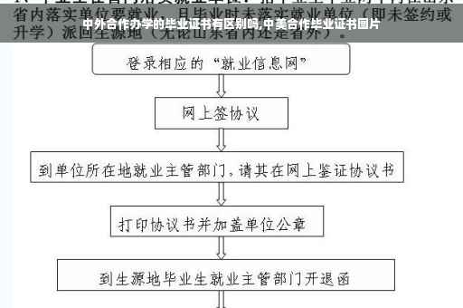 中外合作办学的毕业证书有区别吗,中美合作毕业证书图片