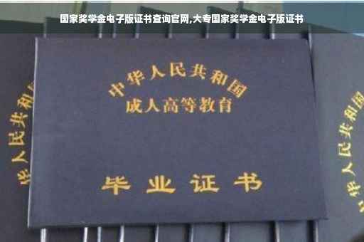 国家奖学金电子版证书查询官网,大专国家奖学金电子版证书