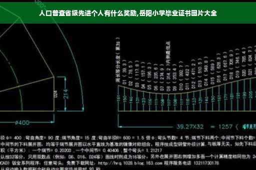 人口普查省级先进个人有什么奖励,岳阳小学毕业证书图片大全