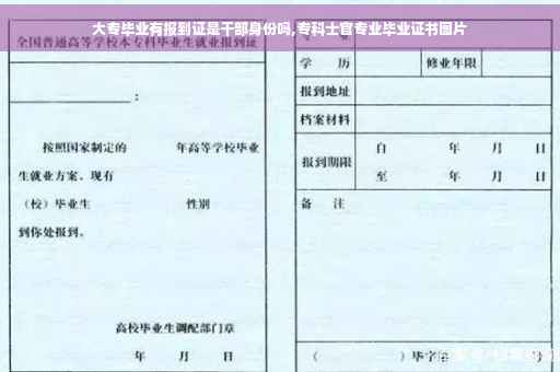 大专毕业有报到证是干部身份吗,专科士官专业毕业证书图片