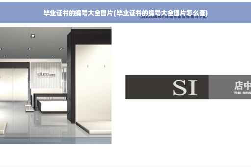 毕业证书的编号大全图片(毕业证书的编号大全图片怎么查)