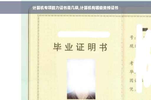 计算机专项能力证书是几级,计算机有哪些资格证书