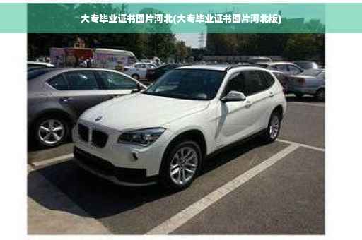 大专毕业证书图片河北(大专毕业证书图片河北版)