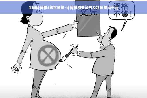 全国计算机5级含金量-计算机相关证书及含金量高不高