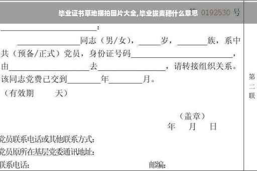 毕业证书草地摆拍图片大全,毕业拔麦穗什么意思