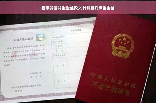 程序员证书含金量多少,计算机几级含金量