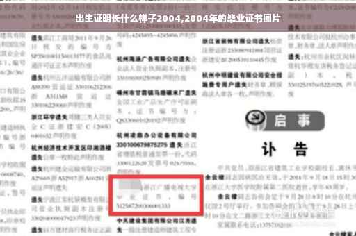 出生证明长什么样子2004,2004年的毕业证书图片