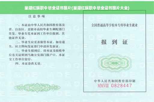 巢湖红旗职中毕业证书图片(巢湖红旗职中毕业证书图片大全)
