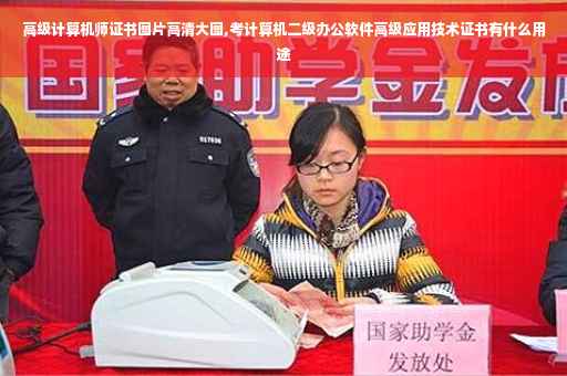 高级计算机师证书图片高清大图,考计算机二级办公软件高级应用技术证书有什么用途