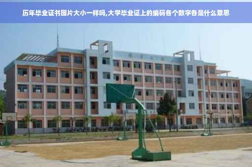 历年毕业证书图片大小一样吗,大学毕业证上的编码各个数字各是什么意思