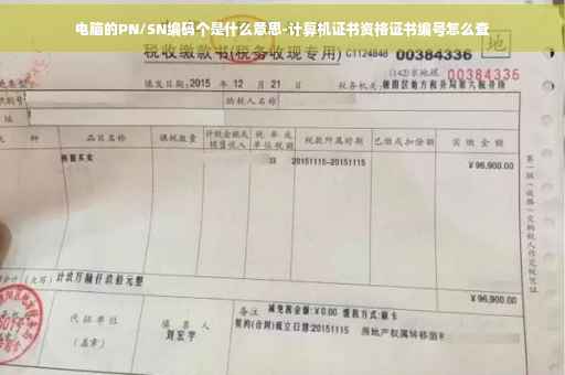 电脑的PN/SN编码个是什么意思-计算机证书资格证书编号怎么查
