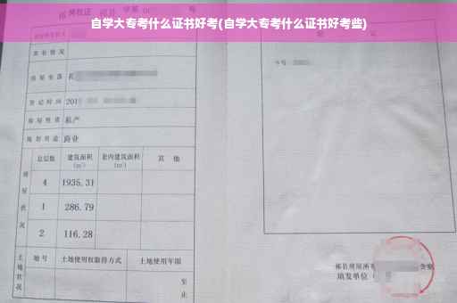 自学大专考什么证书好考(自学大专考什么证书好考些)