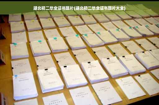 湖北初二毕业证书图片(湖北初二毕业证书图片大全)