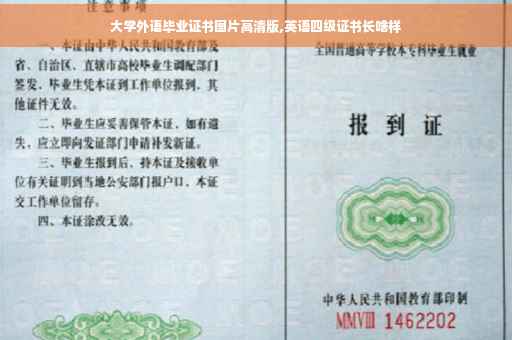 大学外语毕业证书图片高清版,英语四级证书长啥样