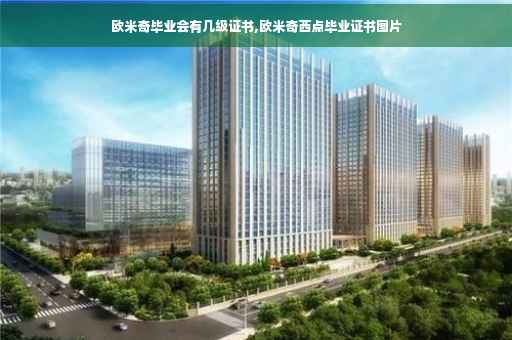 欧米奇毕业会有几级证书,欧米奇西点毕业证书图片
