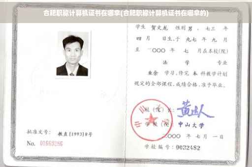 合肥职称计算机证书在哪拿(合肥职称计算机证书在哪拿的)