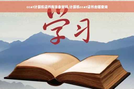 ccat计算机证书有含金量吗,计算机ccat证书去哪查询