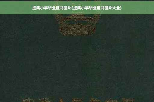 成集小学毕业证书图片(成集小学毕业证书图片大全)