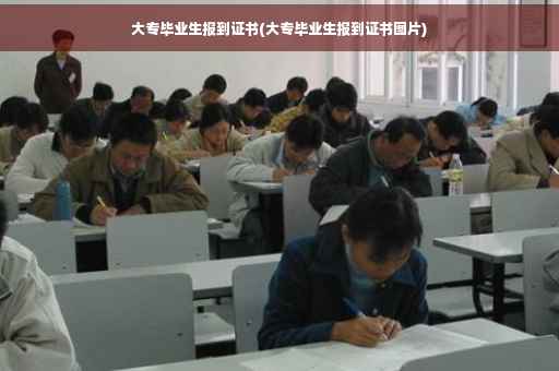 大专毕业生报到证书(大专毕业生报到证书图片)
